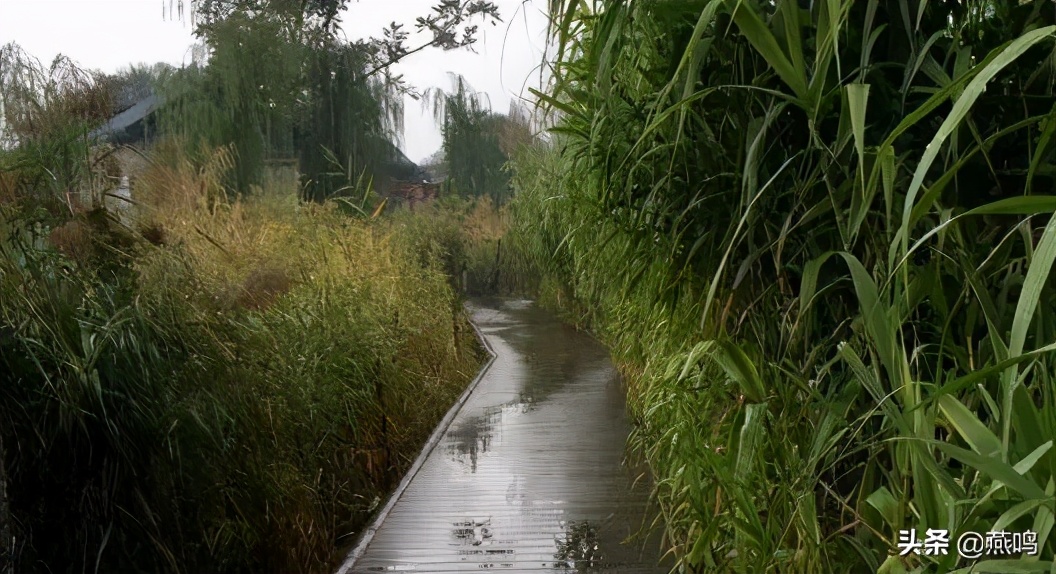 精治，“治”出精致