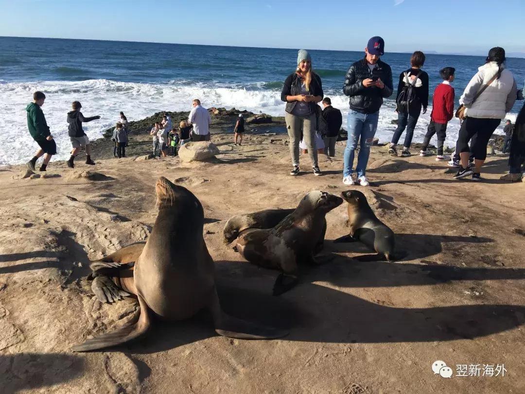 上帝的宠儿英语名,上帝的宠儿英语名字