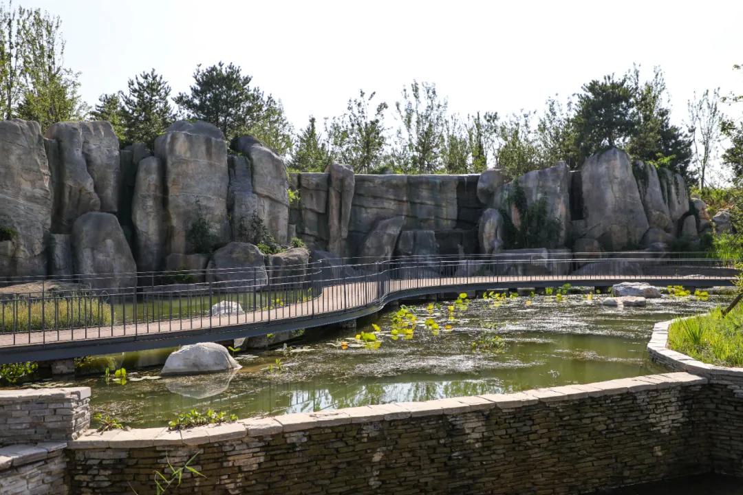 北京人少景美赏秋的公园,北京赏秋中山公园