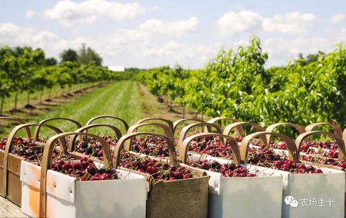 什么新兴行业最赚钱,未来赚钱的新兴行业