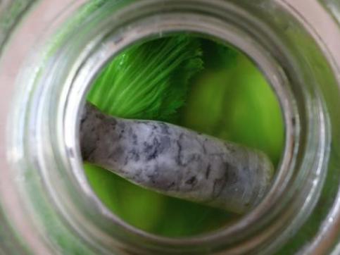 泡菜最简单家常做法,泡菜最正宗的做法看完你就会了