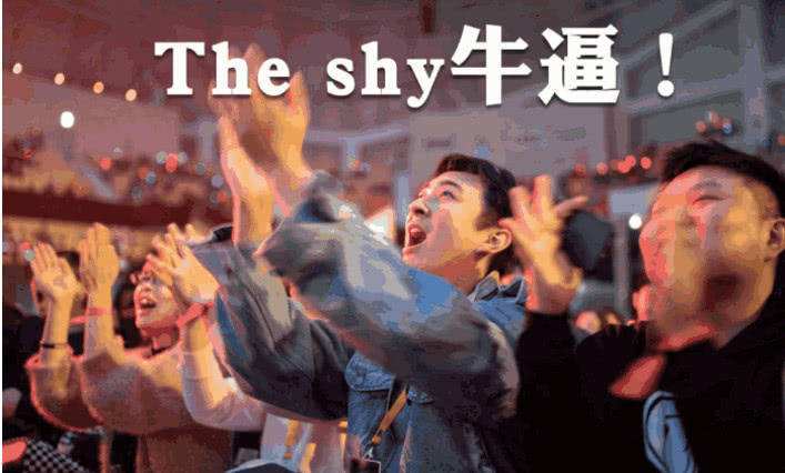 theshy的冠军皮肤有几个,theshy的冠军皮肤是什么