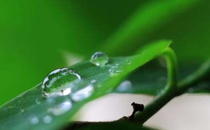 谈钱真的可以看清一个人吗,要看清一个人的句子