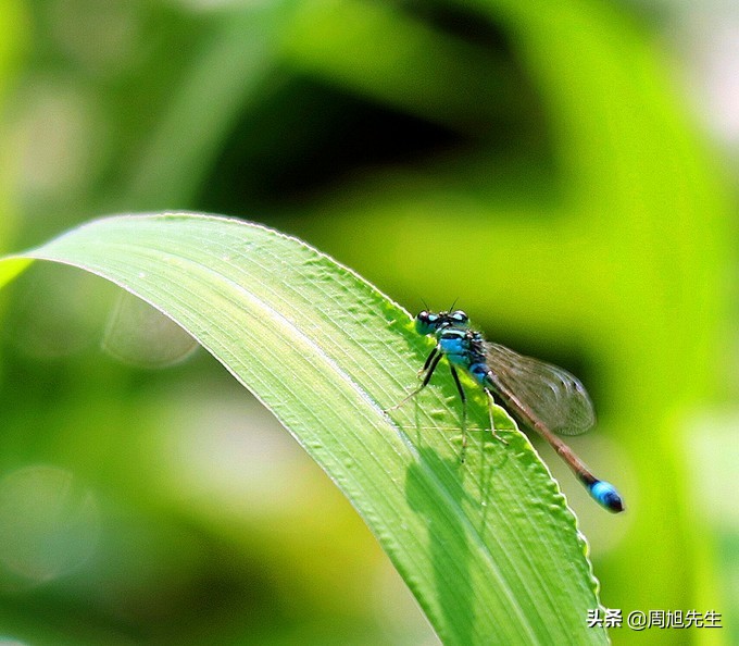 盛京3天深度自驾游好去处推荐,盛京游记