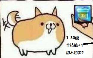 dnf脱坑潮严重策划不作为,dnf即将面临大规模的脱坑