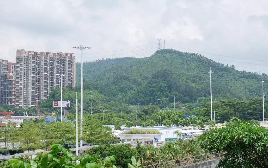 这里是观澜,下一站民治