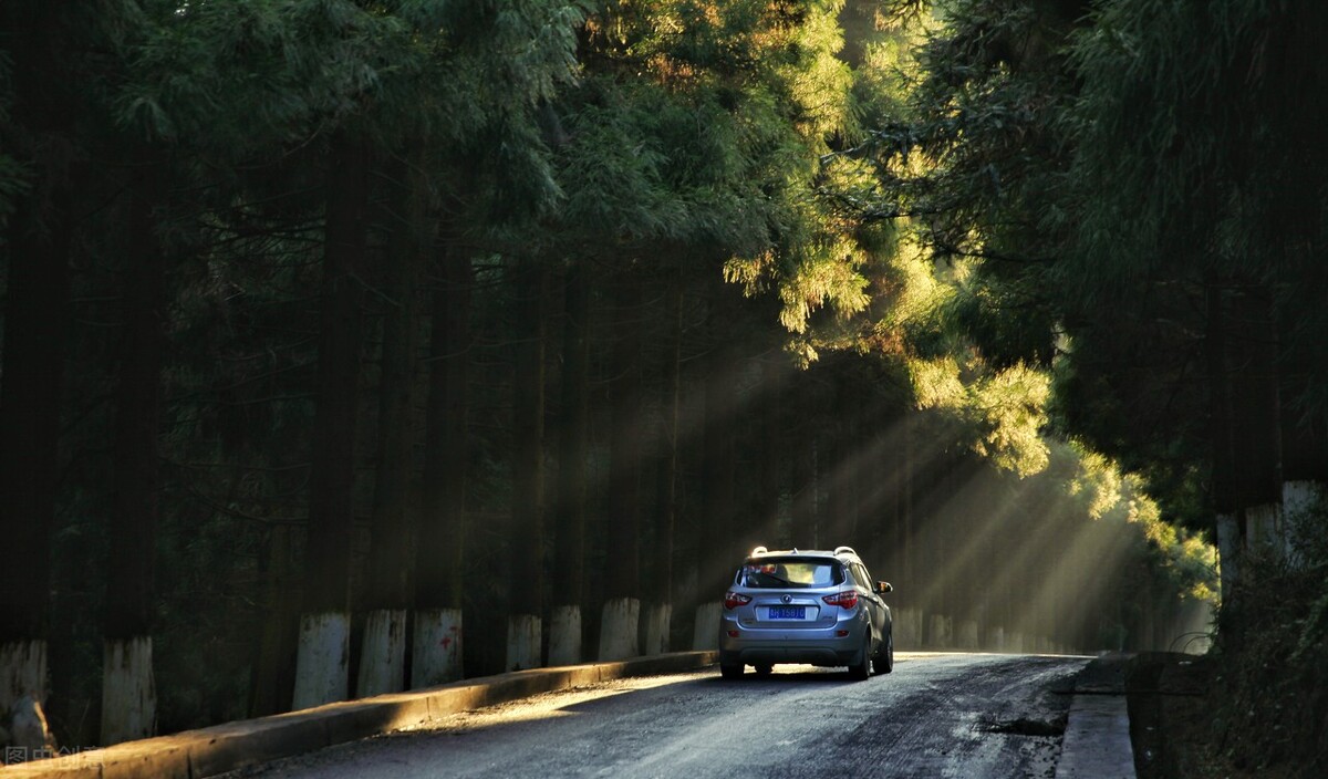 股民学习技术分析的问题,股民必学知识