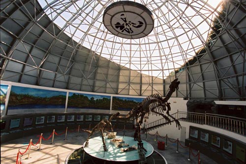 有龙的地方简介,有龙的地方景区