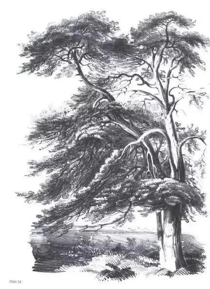 不会画风景咋办,不会画速写怎么办