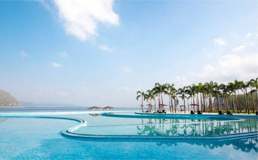 广东鼎龙湾国际旅游度假区,鼎龙湾王总