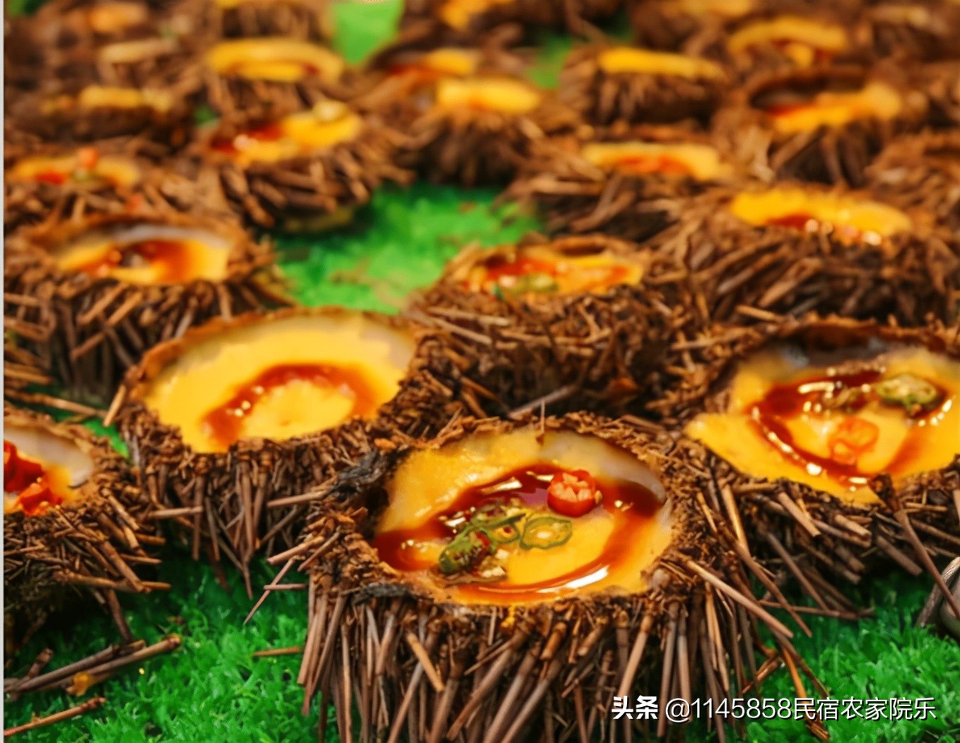 长岛大黑山岛民宿攻略,长岛沙滩民宿推荐