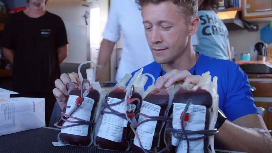 为了弄明白鲨鱼爱不爱吃人，这群人拿自己做实验，答案很意外