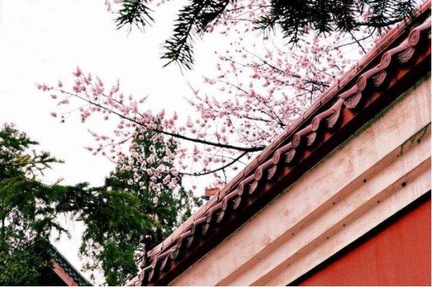 红杏枝头春意闹描写春景的妙处,春色满园关不住全诗欣赏