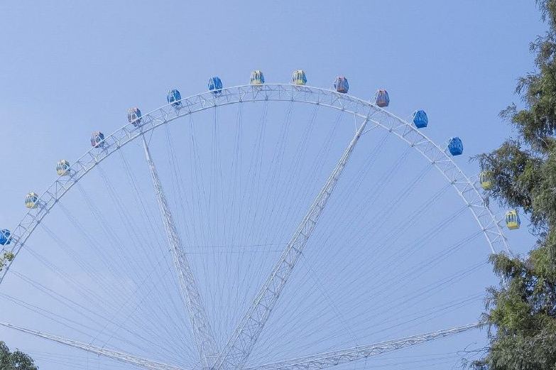 有手段悟性高凡事都能搞定的星座,注定聪明到极致的星座