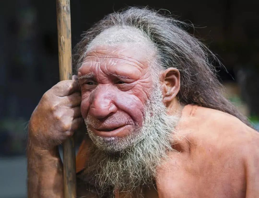 人类史要重写？我国发现了新人种“龙人”，为什么后来消失了？