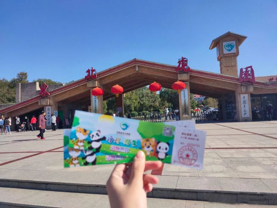 今起东北虎园大门票半价!近百种珍稀动物,带你走进现实版动物世界!