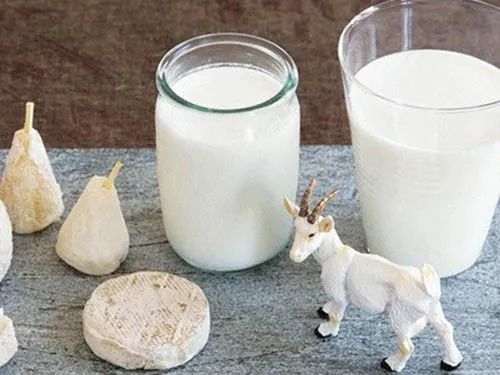 喝羊奶的孩子更聪明？羊奶牛奶大PK，乳品专家告诉你真相