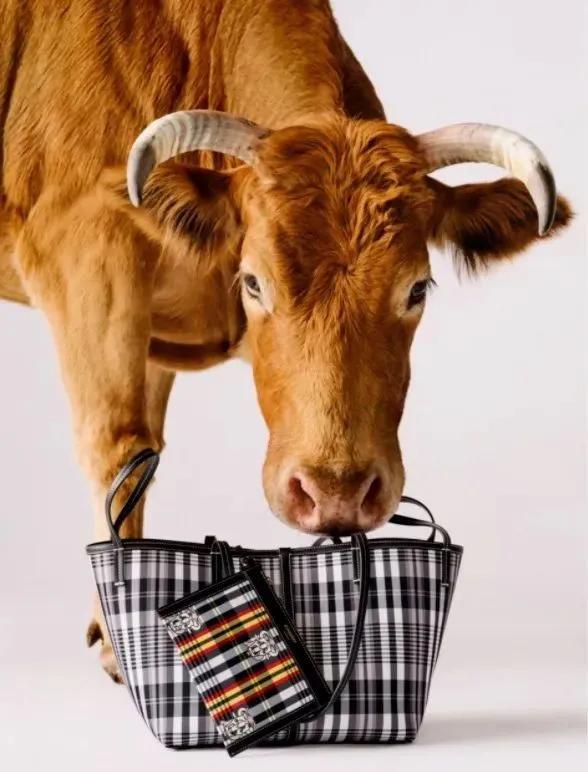 毛线裤要打洞洞,毛线裤内穿