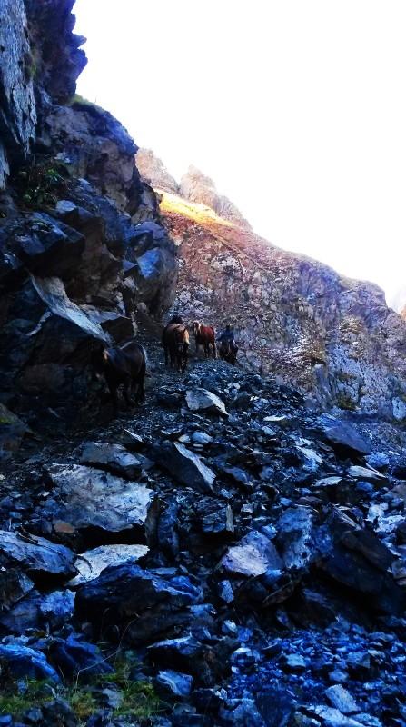 带上UL从狼塔C回家