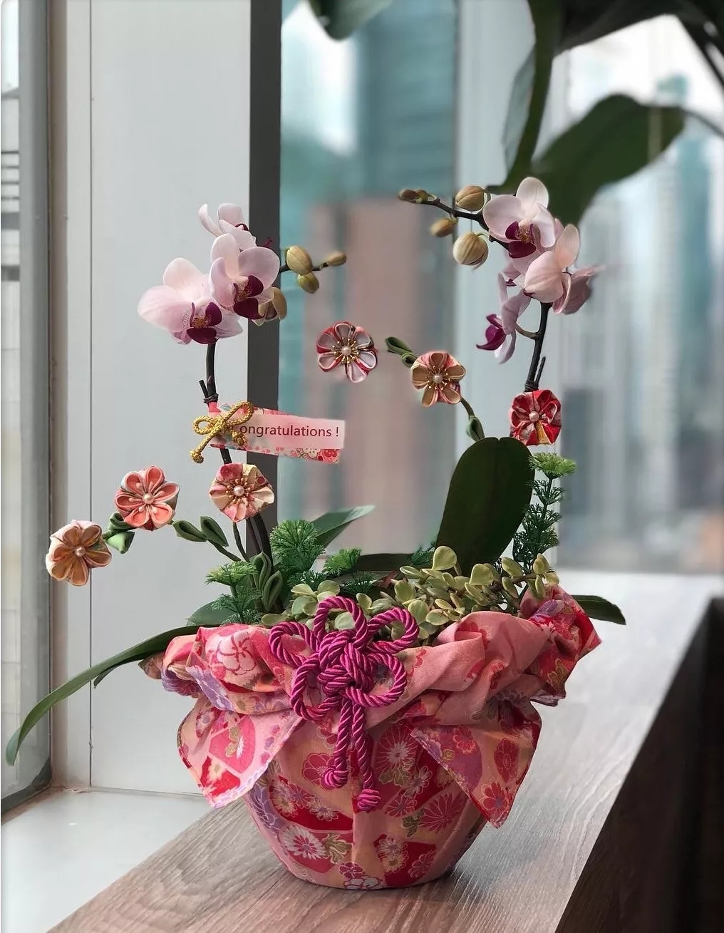 家庭养蝴蝶兰花如何养护,蝴蝶兰家庭养护诀窍非广告