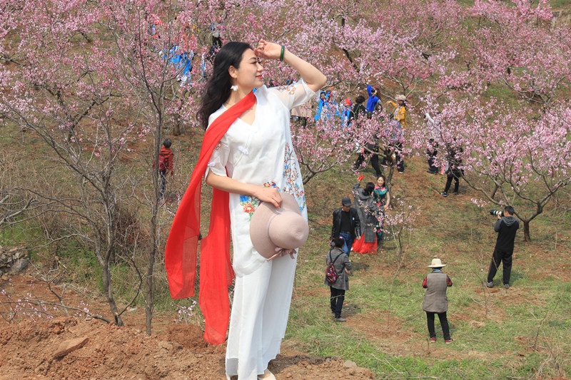 枣庄峄城仙人洞桃花节,峄城仙人洞桃花节直播