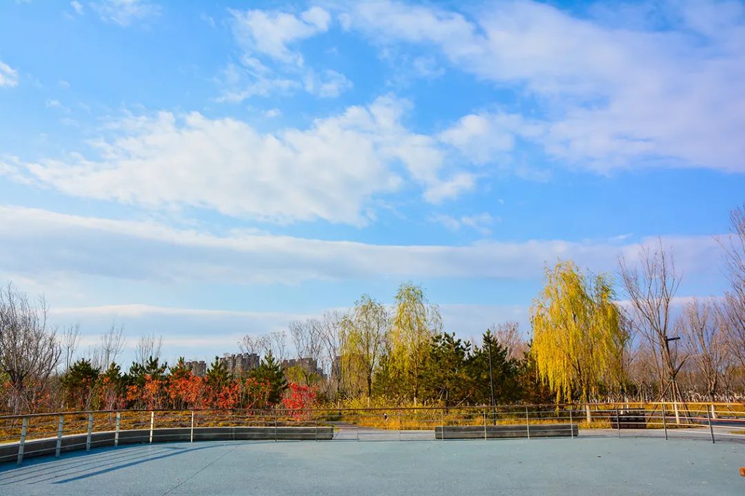 春意盎然北京五大公园,北京区级综合性公园