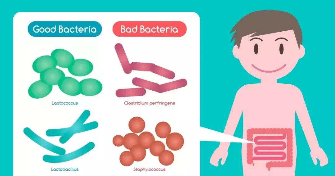 科学证实的益生菌,益生菌并非人人都适合