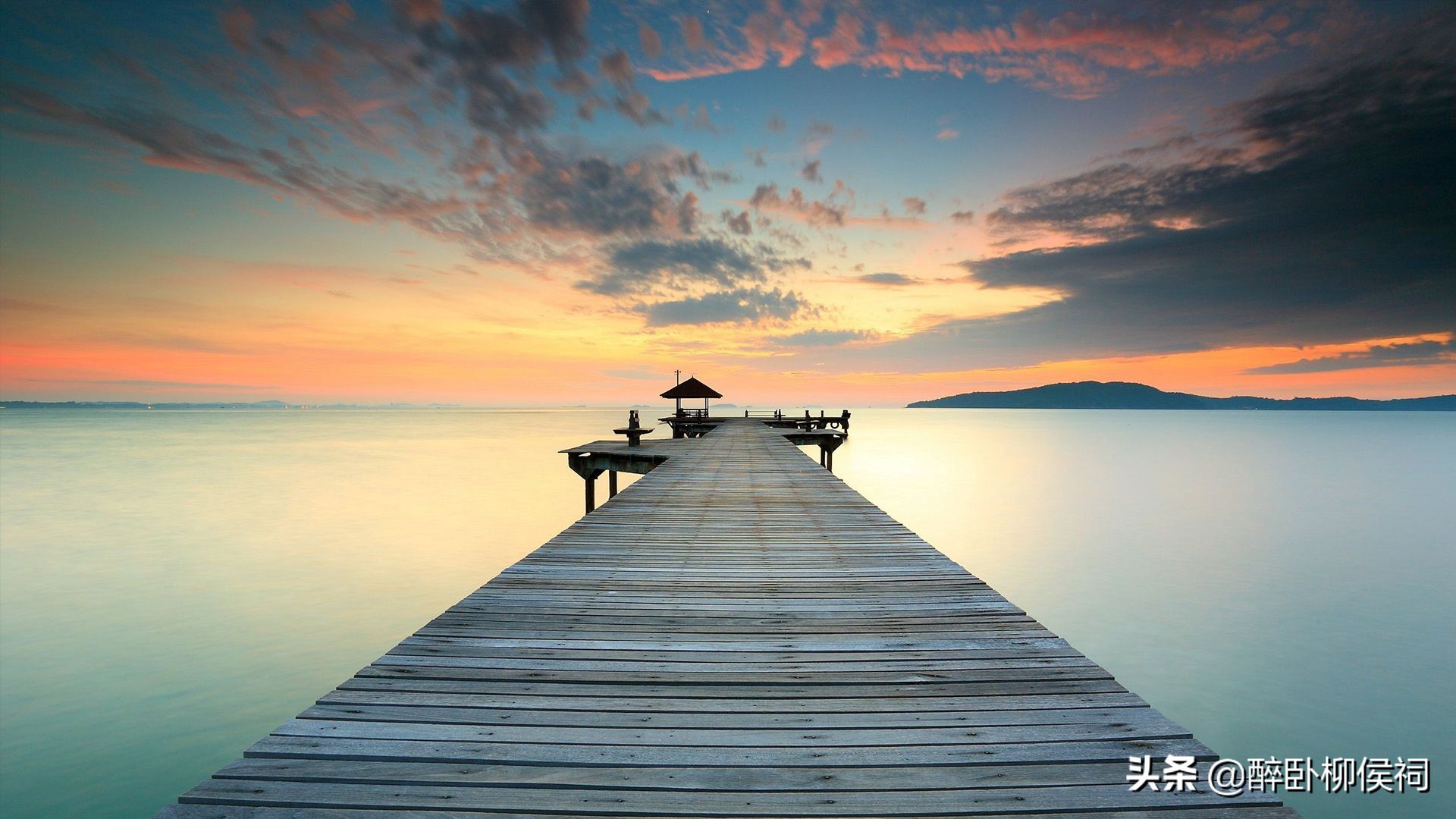 女博士的最佳选择,女博士最后悔的选择