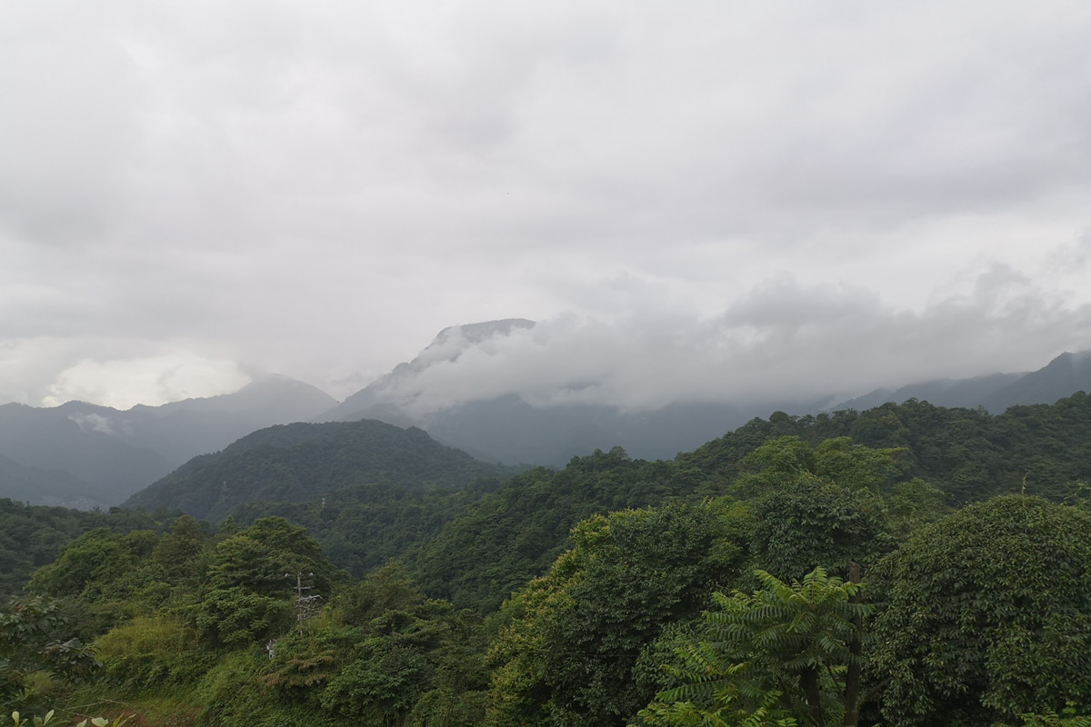 青城山齐云山龙虎山武当山,龙虎山齐云山青城山武当山崆峒山