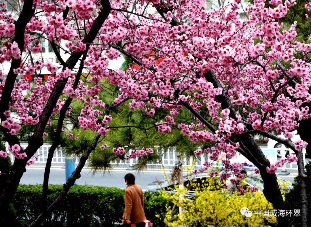环翠景色,环翠美景