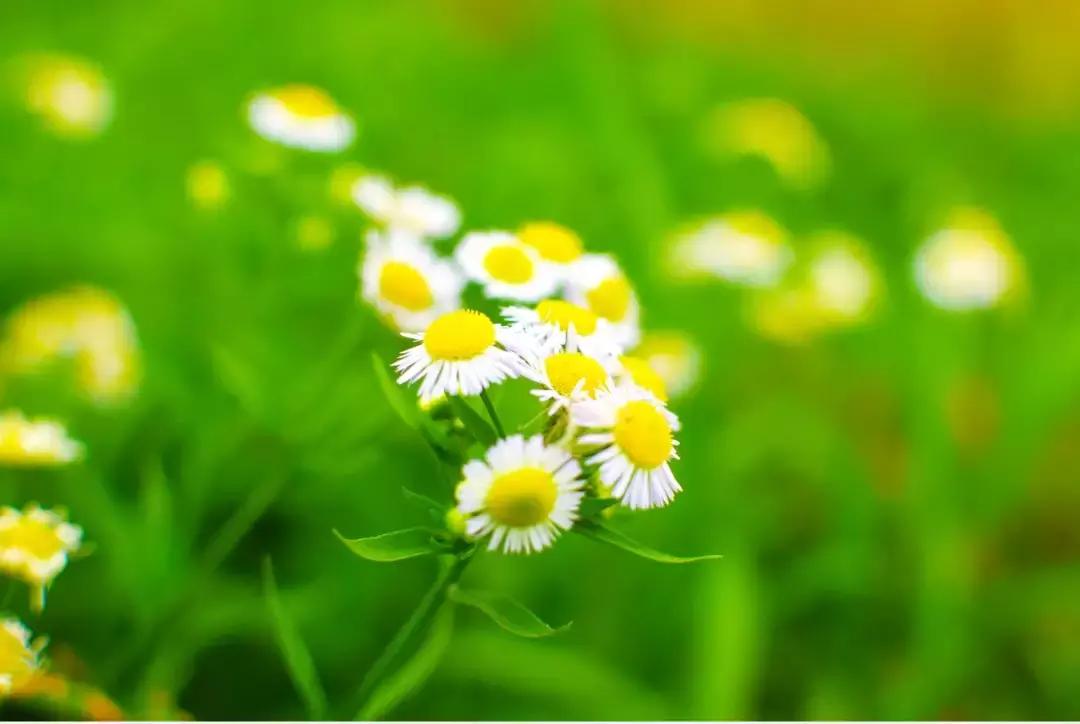 五论学习贯彻习*平近**总书记在纪念五四运动100周年大会上的重要讲话精神