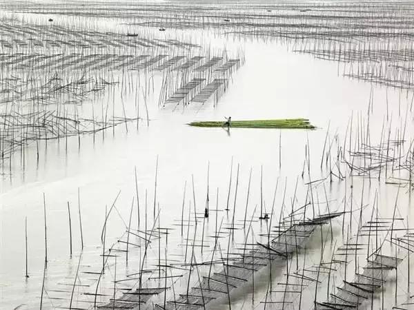 醍醐灌顶文章,醍醐灌顶的文章四句话