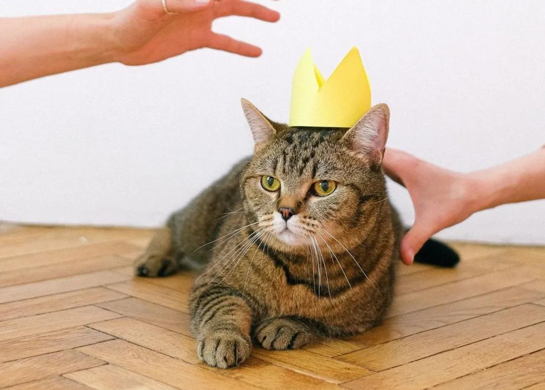 华熙生物玻尿酸能渗透皮肤吗,华熙生物玻尿酸水有用吗