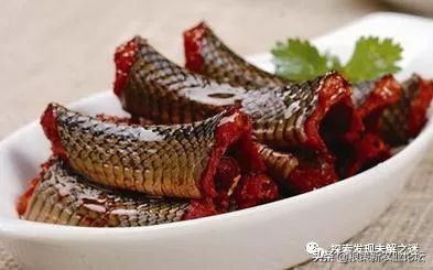 亚洲哪种蝙蝠最好吃,中国蝙蝠吃什么最好