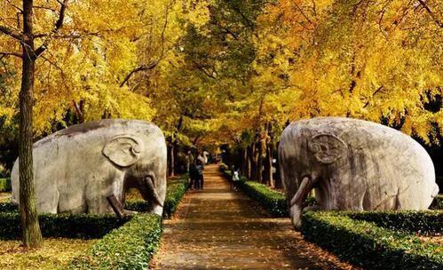 南京秋天旅行攻略,来南京体验秋天浪漫