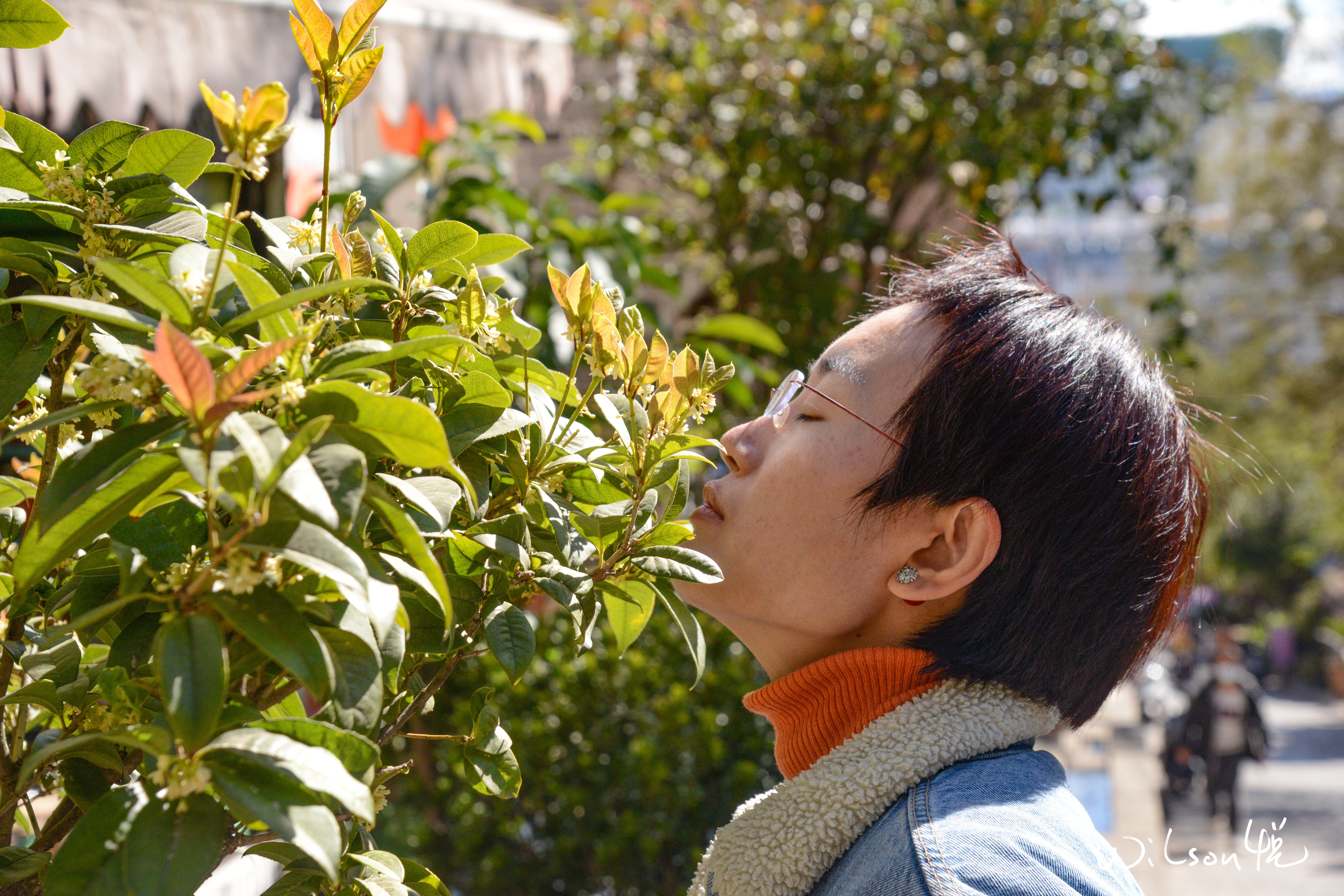 大理下关龙尾关遗址,大理南诏古城