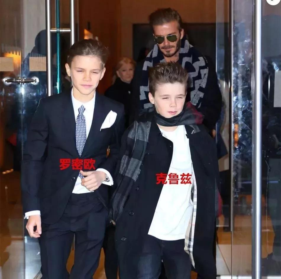 什么叫虎父有犬子,虎父犬子是谁的儿子