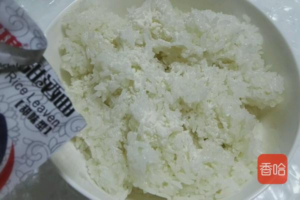 别再花钱买甜酒了自己做也很容易,手把手教你酿制米酒