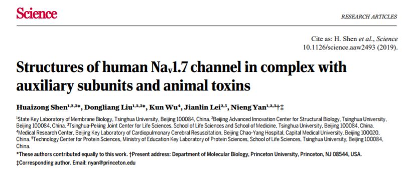冷冻电镜最新研究,冷冻电镜研究成果涌现