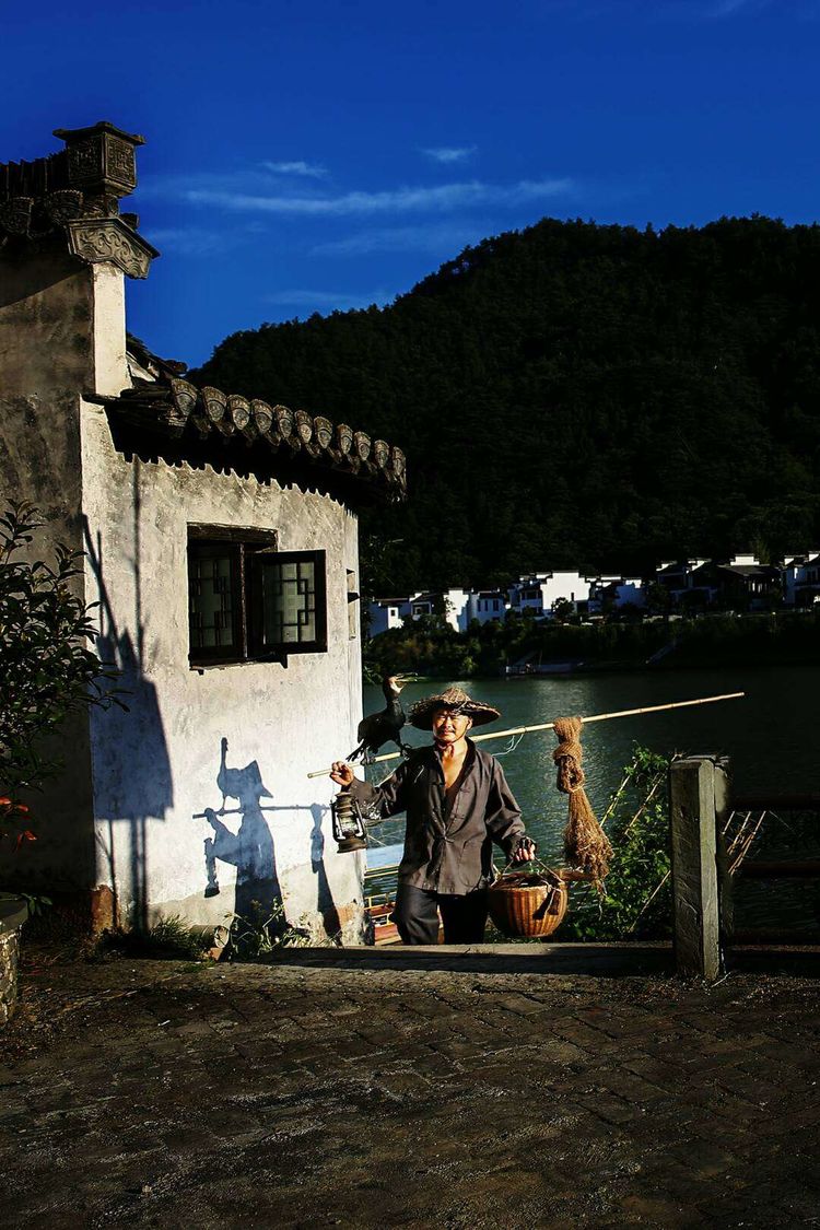 8月向日葵云海（徽州百工、黟县的朋友圈、瓷都景德镇）采风