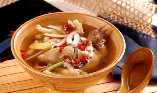 鸽子，一股来自蓝天的神秘力量