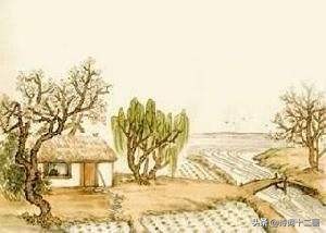 王维山水诗词十二首,王维田园诗十首