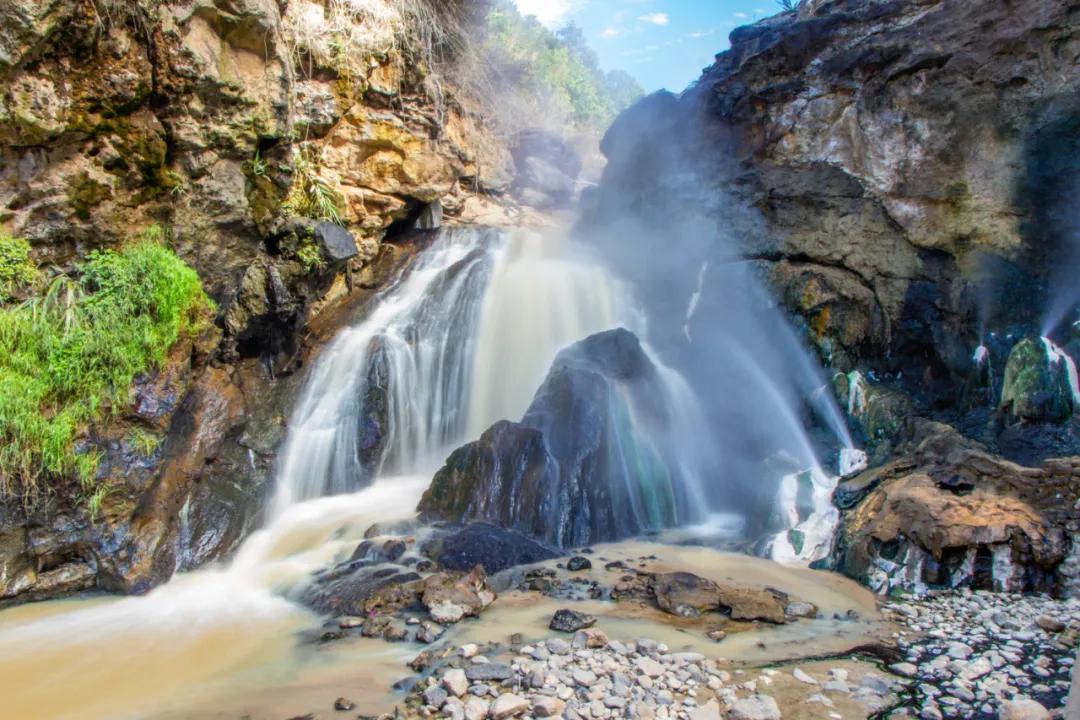 这是一个充满生机的公园怎么说,这是一个充满生机的国度朗诵