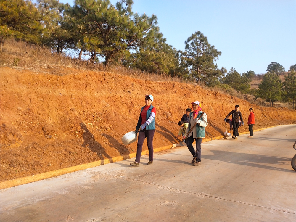 四川会东大梨树村,会东松坪镇大梨树村