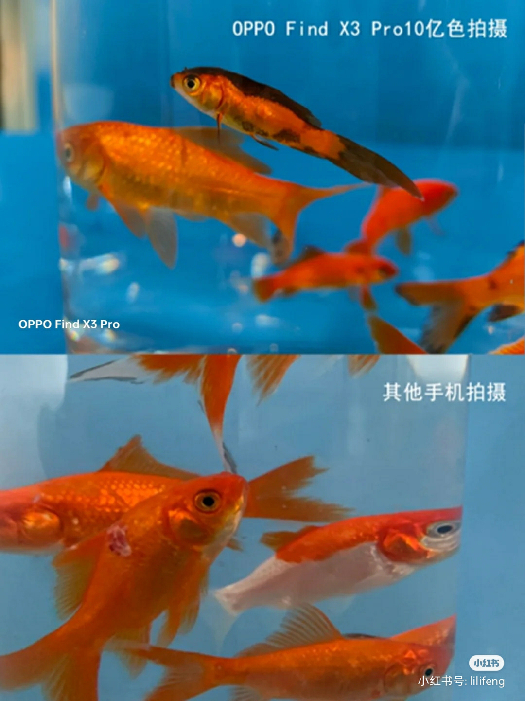 微观世界大自然,微观世界的神奇视频