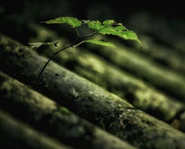 “越国敦煌”，1600多年的佛国洞天——新昌大佛寺