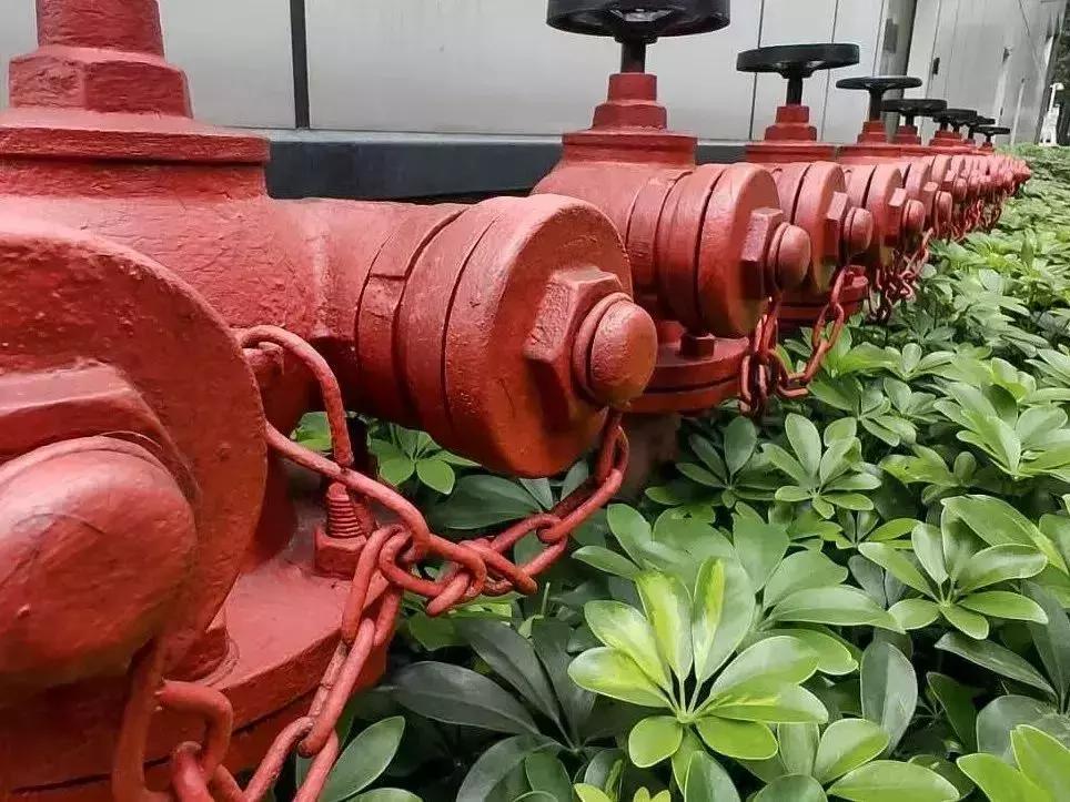 手机摄影拍照效果,手机拍照技巧和手机摄影分享