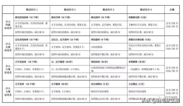 中国羽协羽毛球等级认证,羽毛球等级评定中羽三级