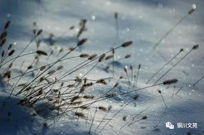 閾滃窛甯傚嵃鍙板尯寤夋斂璀︾ず鏁欒偛,閾滃窛璀﹂挓
