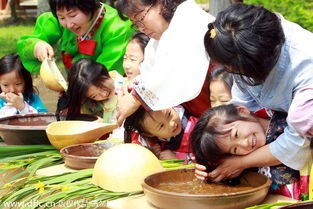 不同的地方是怎么过端午节的,端午节别的国家是怎么过的